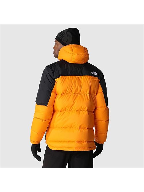 m diablo down hoodie cone THE NORTH FACE | NF0A4M9L7Q61